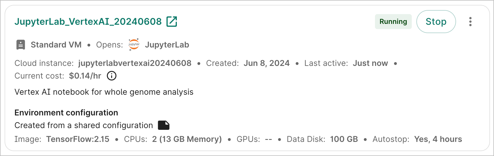 Screenshot of a cloud environment's details card, showing a green 'Running' button.