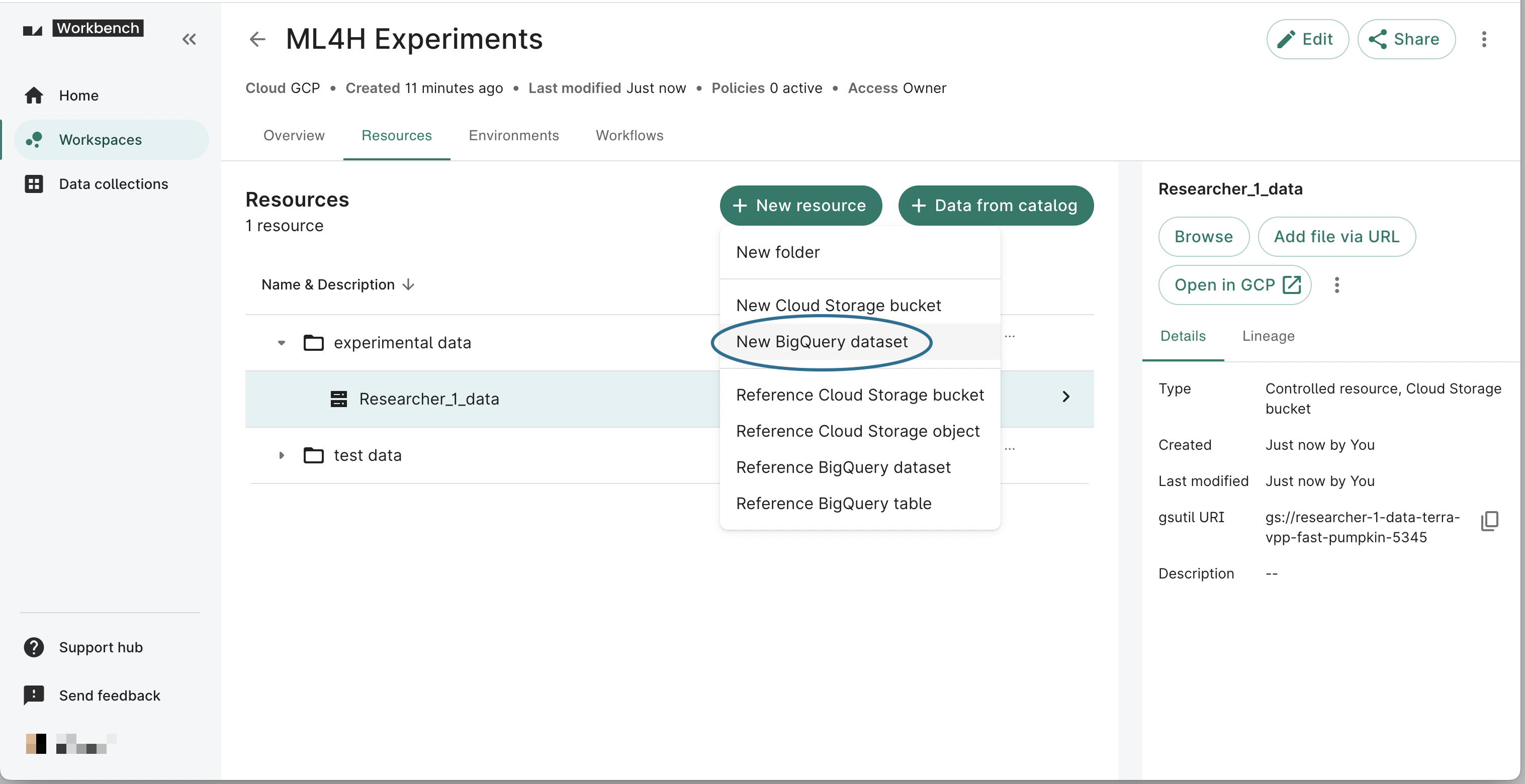 Screenshot of a workspace's Resources page, with the New BigQuery dataset option highlighted.